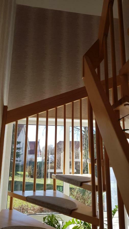 Ferienhaus Bogsi Müllrose エクステリア 写真