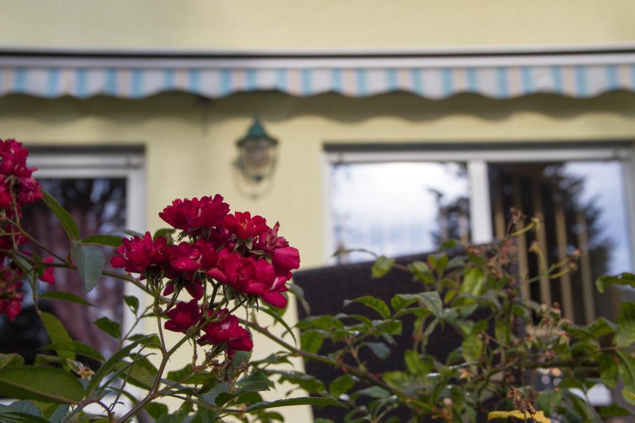 Ferienhaus Bogsi Müllrose エクステリア 写真