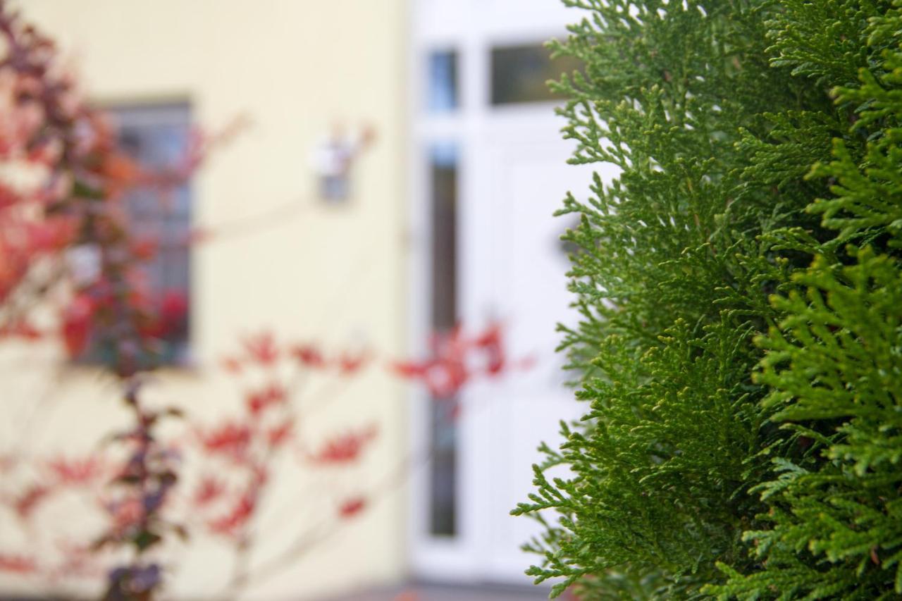 Ferienhaus Bogsi Müllrose エクステリア 写真